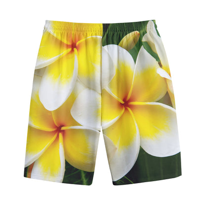 White And Yellow Plumeria Flower Print Cotton Shorts