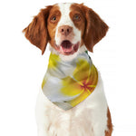 White And Yellow Plumeria Flower Print Dog Bandana