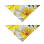 White And Yellow Plumeria Flower Print Dog Bandana