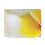 White And Yellow Plumeria Flower Print Drum Lamp Shade
