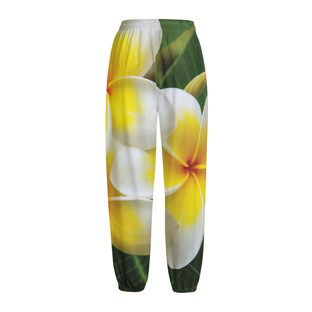 White And Yellow Plumeria Flower Print Fleece Lined Knit Pants