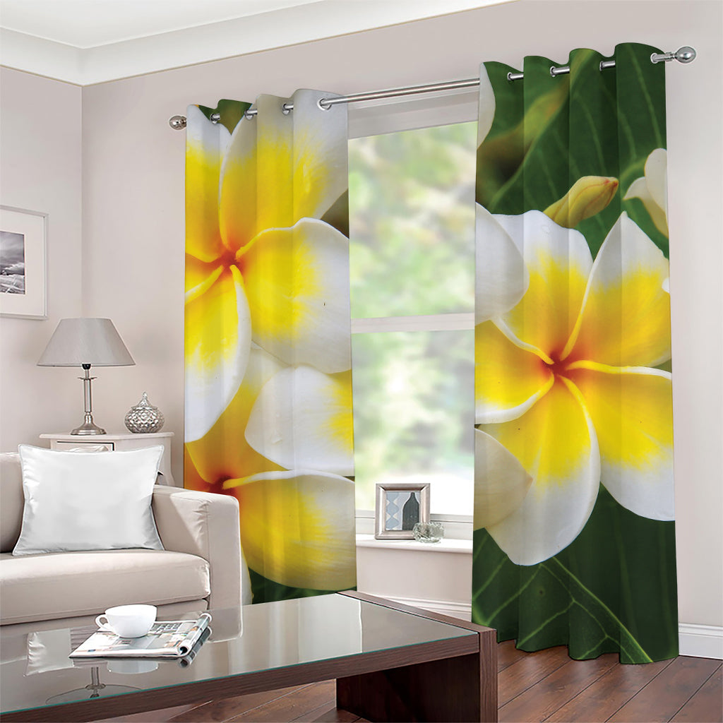 White And Yellow Plumeria Flower Print Grommet Curtains