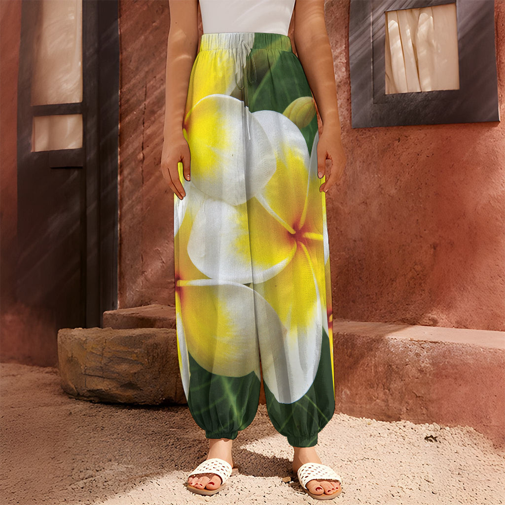White And Yellow Plumeria Flower Print Harem Pants