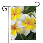 White And Yellow Plumeria Flower Print House Flag