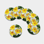 White And Yellow Plumeria Flower Print Leather Coaster Set