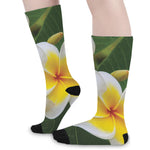 White And Yellow Plumeria Flower Print Long Socks