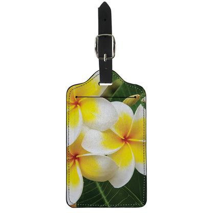 White And Yellow Plumeria Flower Print Luggage Tag