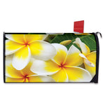 White And Yellow Plumeria Flower Print Mailbox Cover