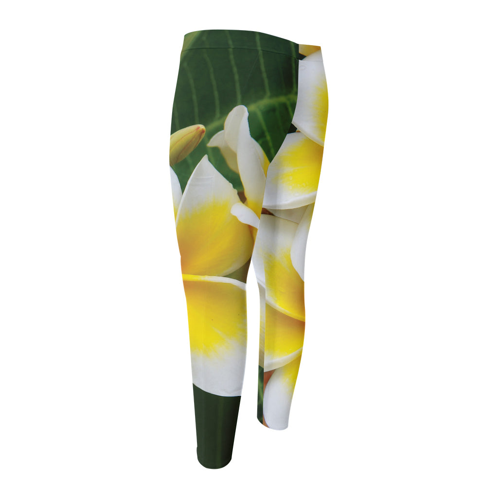 White And Yellow Plumeria Flower Print Men's Compression Pants