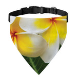 White And Yellow Plumeria Flower Print Over The Collar Dog Bandana