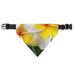 White And Yellow Plumeria Flower Print Over The Collar Dog Bandana