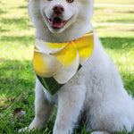 White And Yellow Plumeria Flower Print Over The Collar Dog Bandana