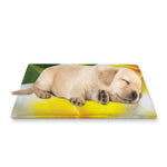 White And Yellow Plumeria Flower Print Pet Cooling Mat Cover