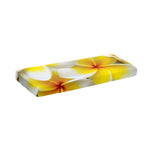 White And Yellow Plumeria Flower Print Piano Keyboard Cover