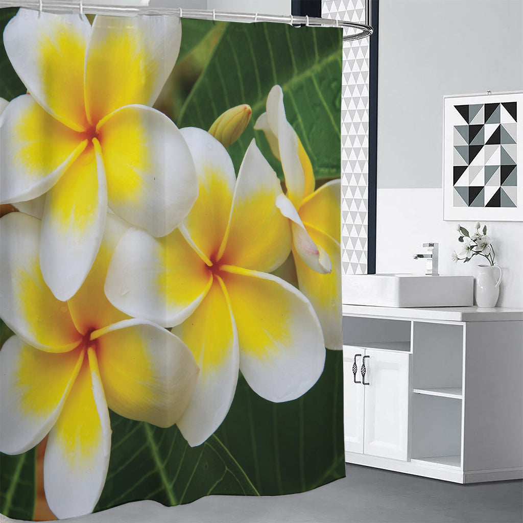 White And Yellow Plumeria Flower Print Premium Shower Curtain