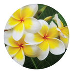 White And Yellow Plumeria Flower Print Round Blanket