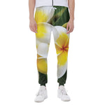 White And Yellow Plumeria Flower Print Scuba Joggers