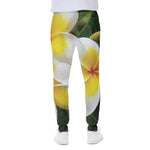 White And Yellow Plumeria Flower Print Scuba Joggers