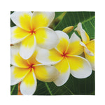 White And Yellow Plumeria Flower Print Silk Bandana