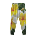 White And Yellow Plumeria Flower Print Sweatpants