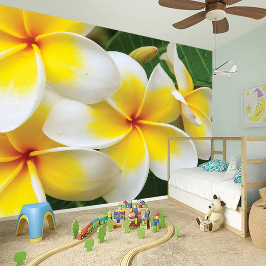White And Yellow Plumeria Flower Print Wall Sticker