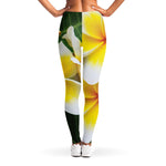 White And Yellow Plumeria Flower Print Women's Leggings