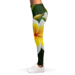 White And Yellow Plumeria Flower Print Women's Leggings