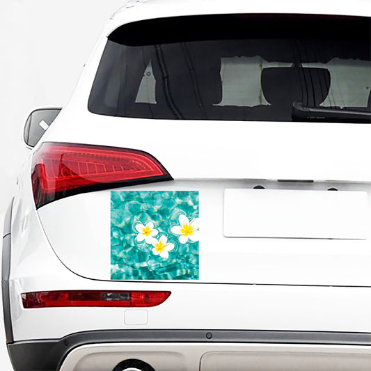 White And Yellow Plumeria In Water Print Car Sticker