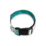 White And Yellow Plumeria In Water Print Dog Collar