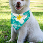 White And Yellow Plumeria In Water Print Over The Collar Dog Bandana