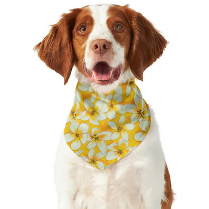 White And Yellow Plumeria Pattern Print Dog Bandana