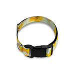 White And Yellow Plumeria Pattern Print Dog Collar