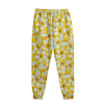 White And Yellow Plumeria Pattern Print Sweatpants