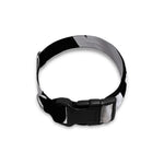 White Angel Wings Print Dog Collar