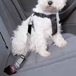 White Angel Wings Print Dog Seat Belt