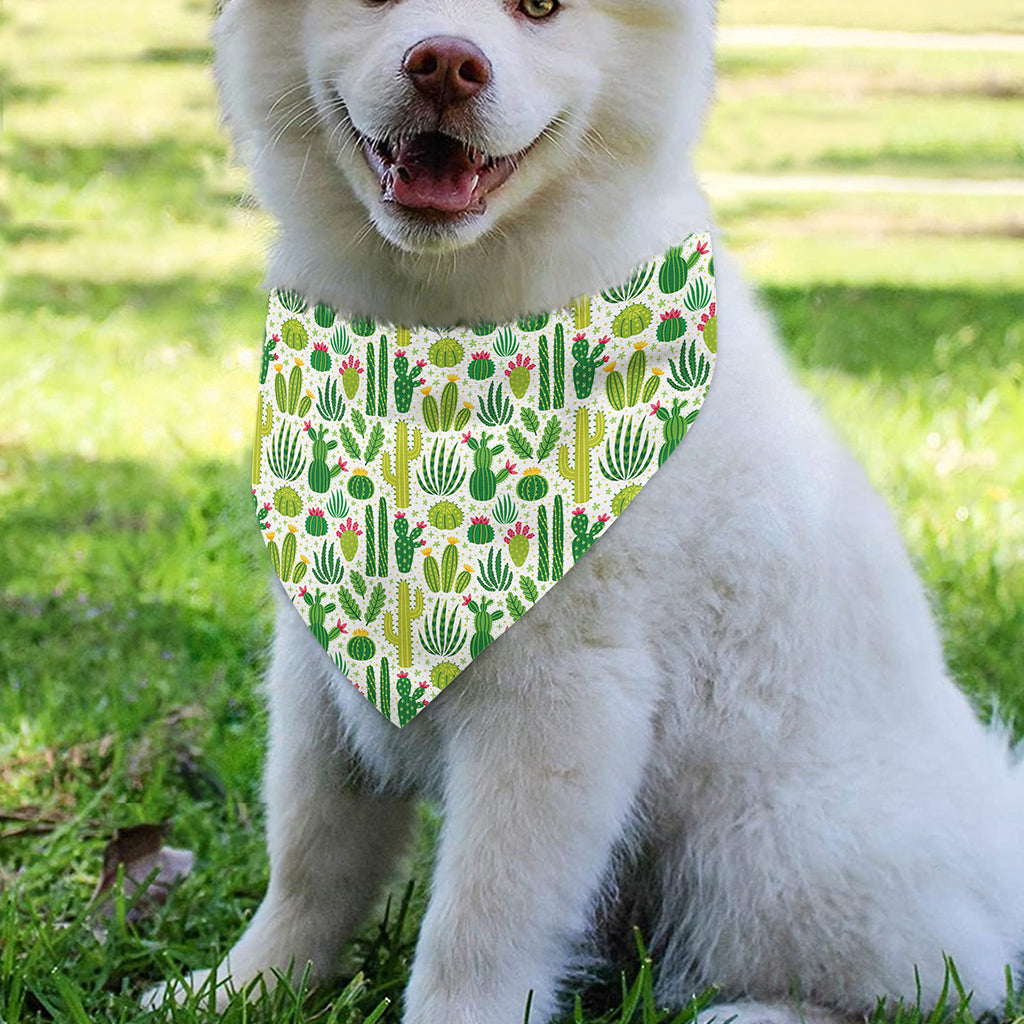 White Cactus Plant Pattern Print Over The Collar Dog Bandana