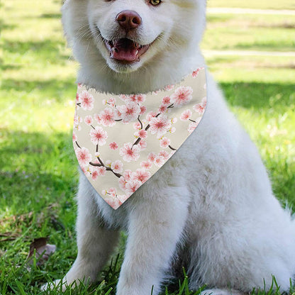 White Cherry Blossom Pattern Print Over The Collar Dog Bandana