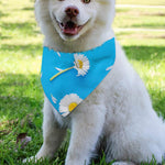 White Daisy Flower Print Over The Collar Dog Bandana