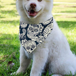 White Floral Sugar Skull Pattern Print Over The Collar Dog Bandana