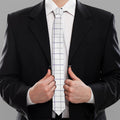 White Grey And Purple Tattersall Print Necktie