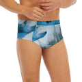 White Horse Painting Print Men's Briefs
