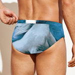 White Horse Painting Print Men's Swim Briefs