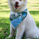 White Horse Painting Print Over The Collar Dog Bandana