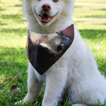 White Horse Portrait Print Over The Collar Dog Bandana