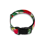 White Palm Leaf Watermelon Pattern Print Dog Collar