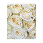 White Rose Print Curtain