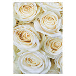 White Rose Print Curtain