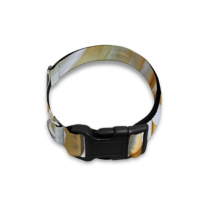 White Rose Print Dog Collar