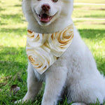 White Rose Print Over The Collar Dog Bandana