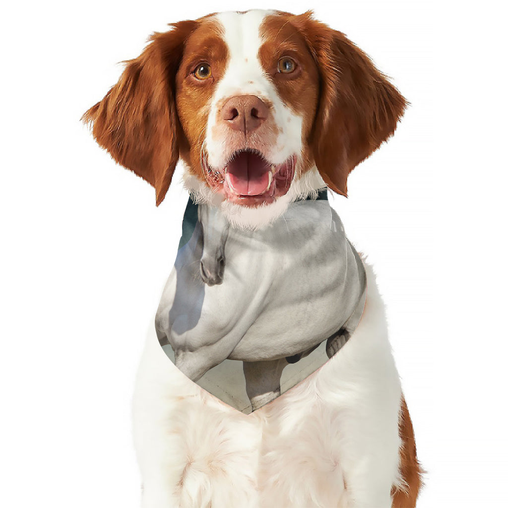 White Stallion Horse Print Dog Bandana